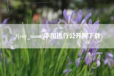 青岛中国执行公开网下载
