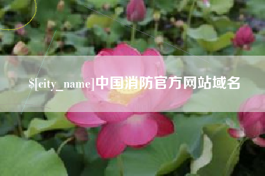 青岛中国消防官方网站域名