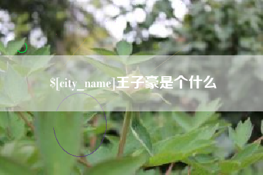 青岛王子豪是个什么