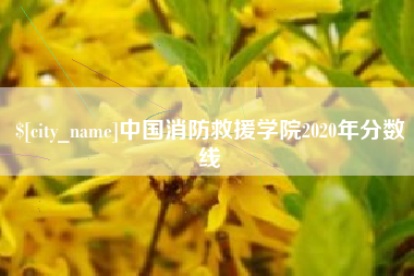 青岛中国消防救援学院2020年分数线