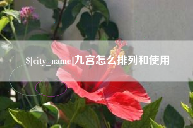 青岛九宫怎么排列和使用