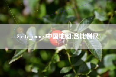 青岛中国地图(含比例尺)