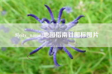 青岛地图指南针图标图片