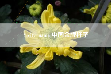 青岛中国金牌样子