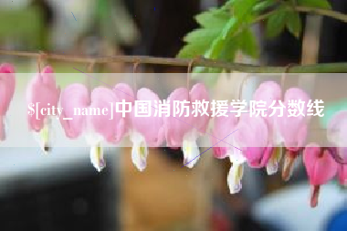 青岛中国消防救援学院分数线